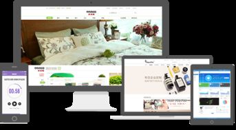 系統(tǒng)開發(fā)